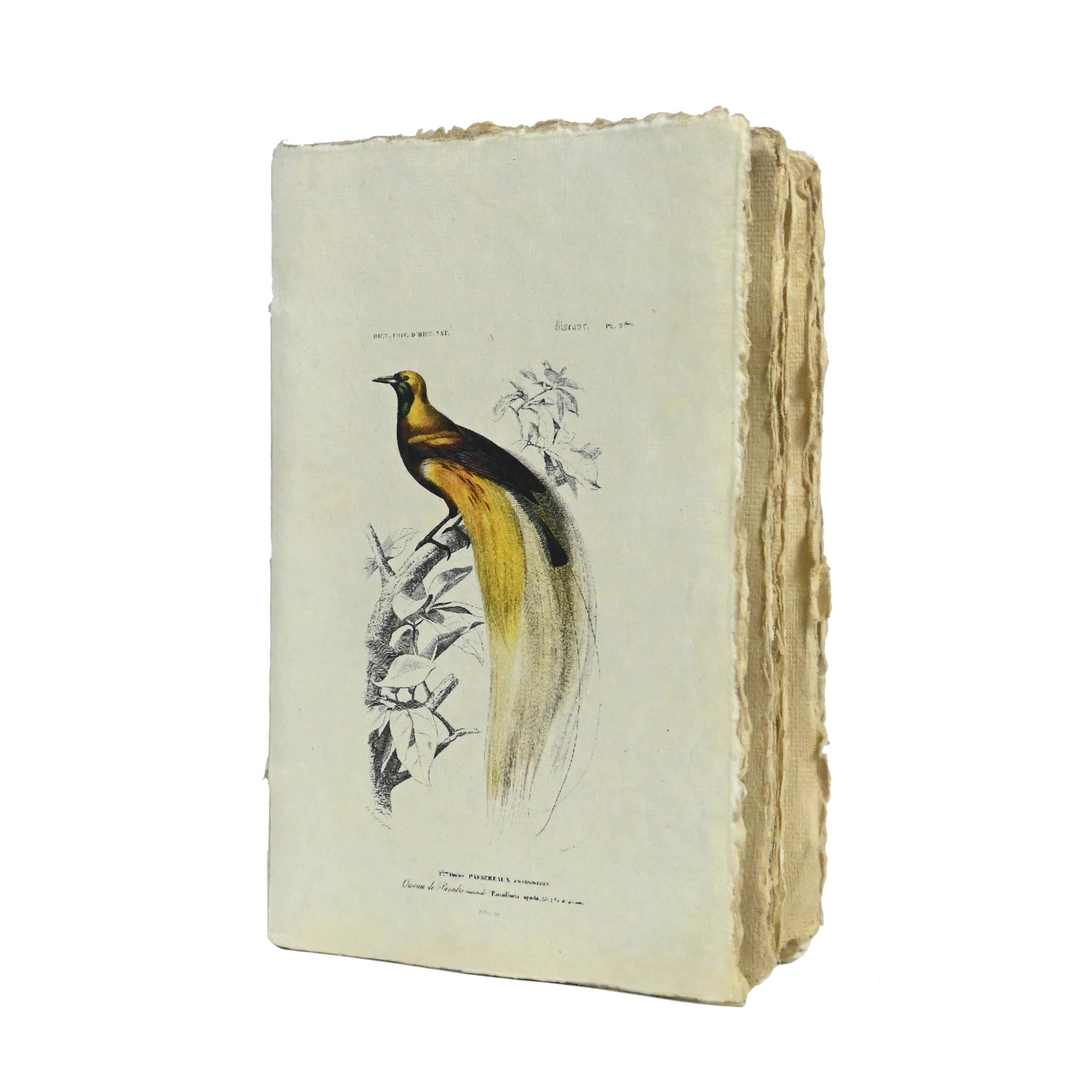 Vintage Birds A5 Parchment Paper Notebook