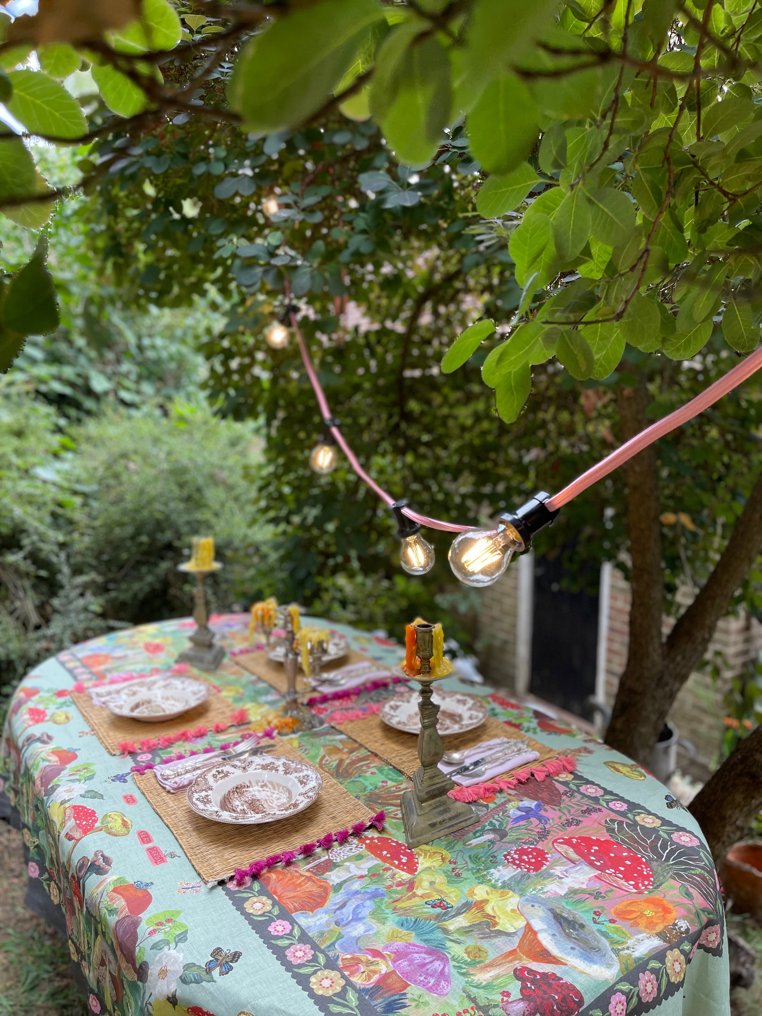 Festoon Lighting
