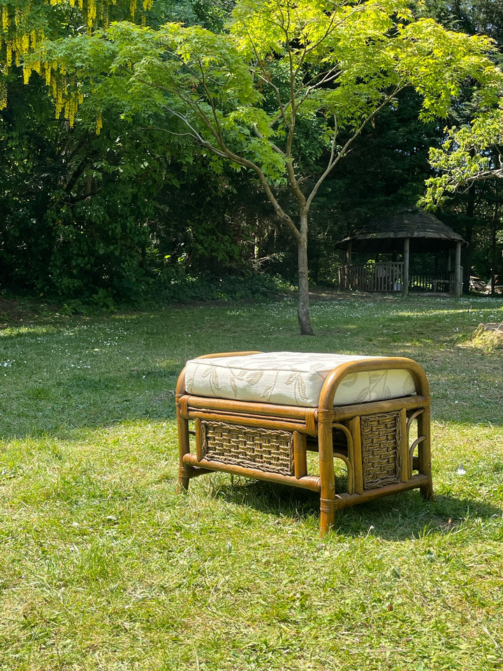 Rattan Sofa Set of Four
