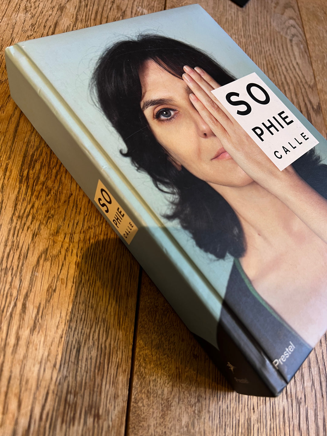 Sophie Calle : Did you see me