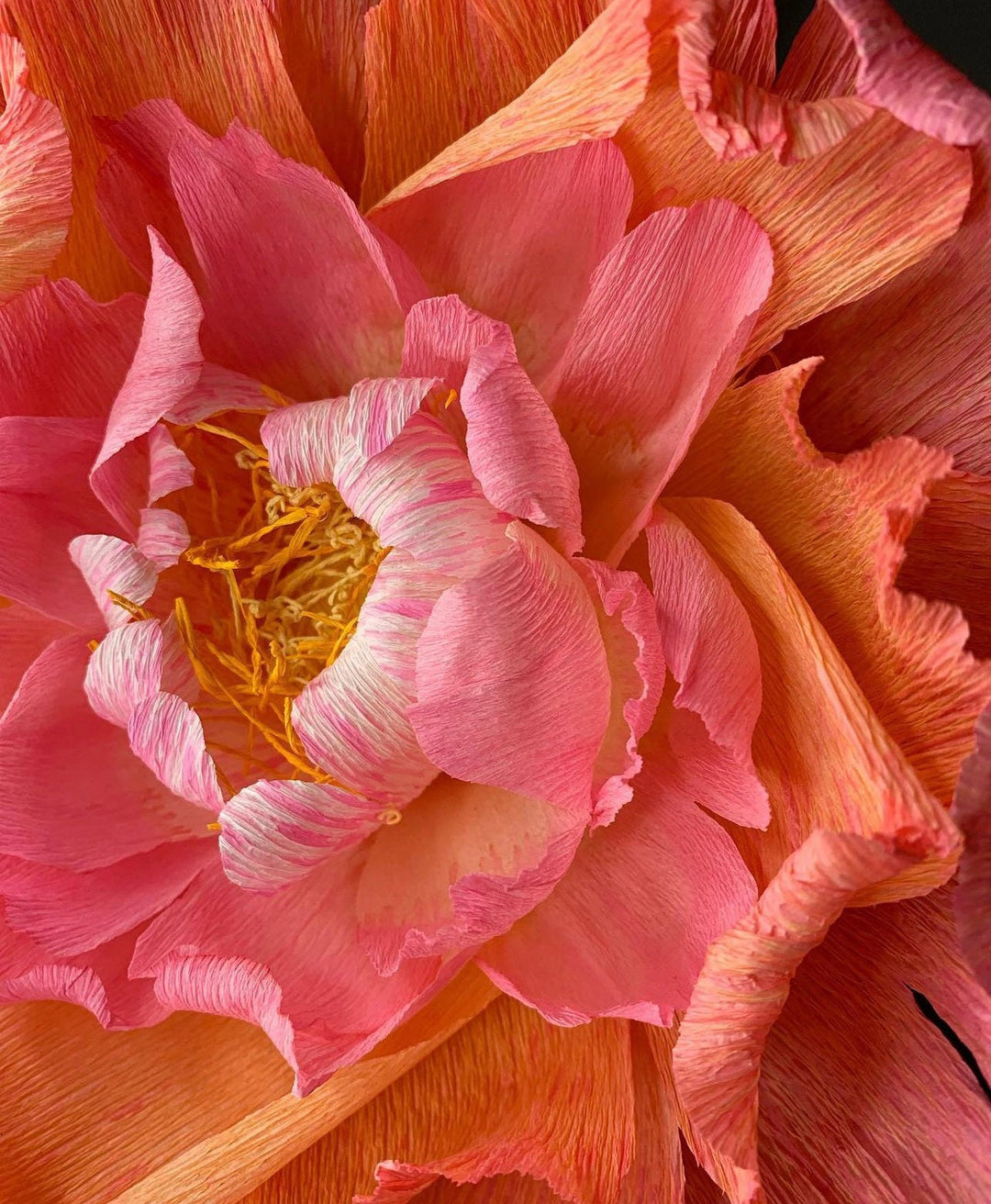 Make a Paper Flower Workshop Brunch &amp; Fizz... 25th Nov. 23