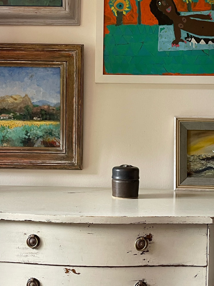 Matt Black Dragonfly Jar
