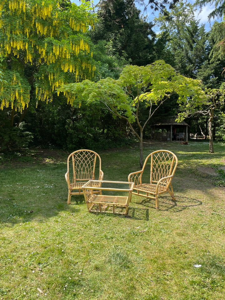 Mid-Century Rattan Pair of Chairs &amp; Coffee Table