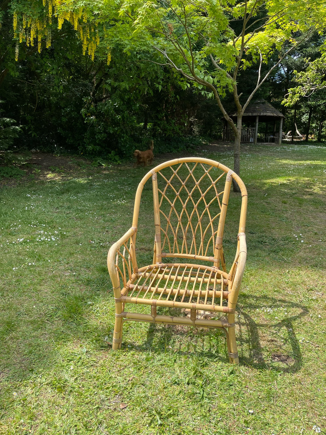 Mid-Century Rattan Pair of Chairs &amp; Coffee Table