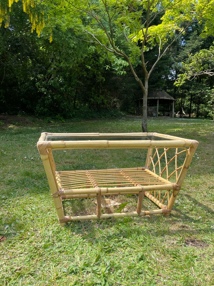 Mid-Century Rattan Pair of Chairs &amp; Coffee Table