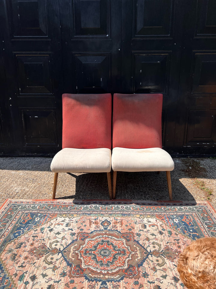Pair of Mid-Century Cocktail Chairs