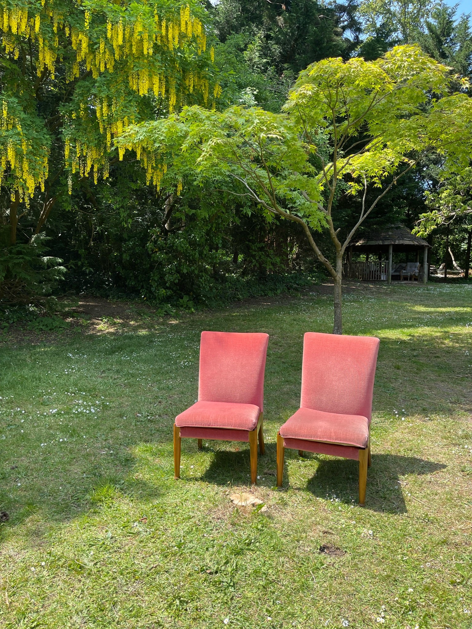 Pair of Velvet Parker Knoll Mid Century Cocktail Chairs