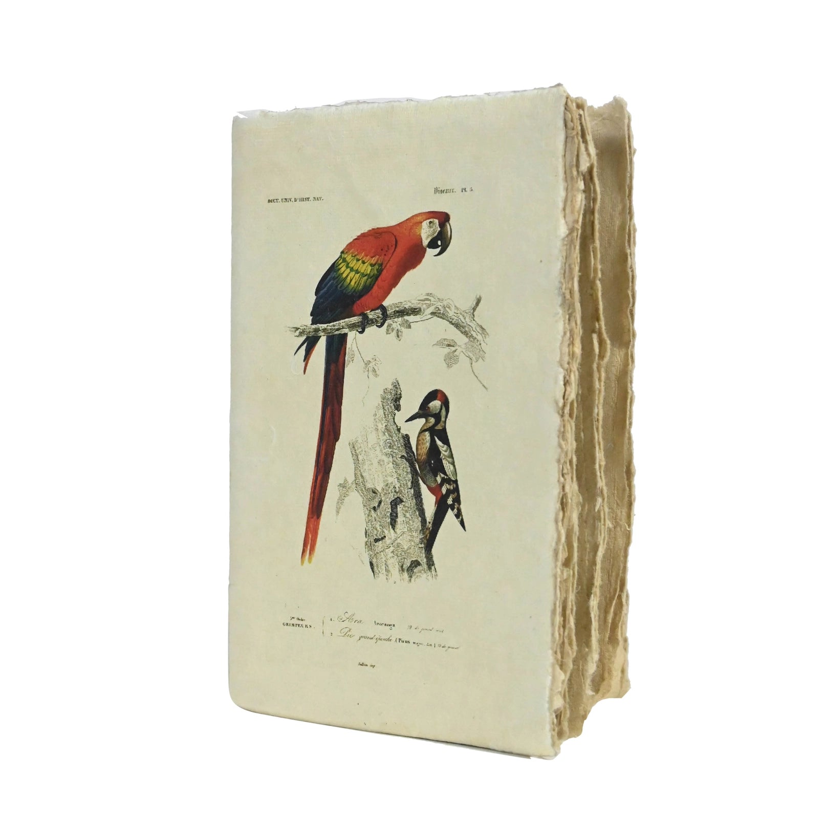 Vintage Birds A5 Parchment Paper Notebook