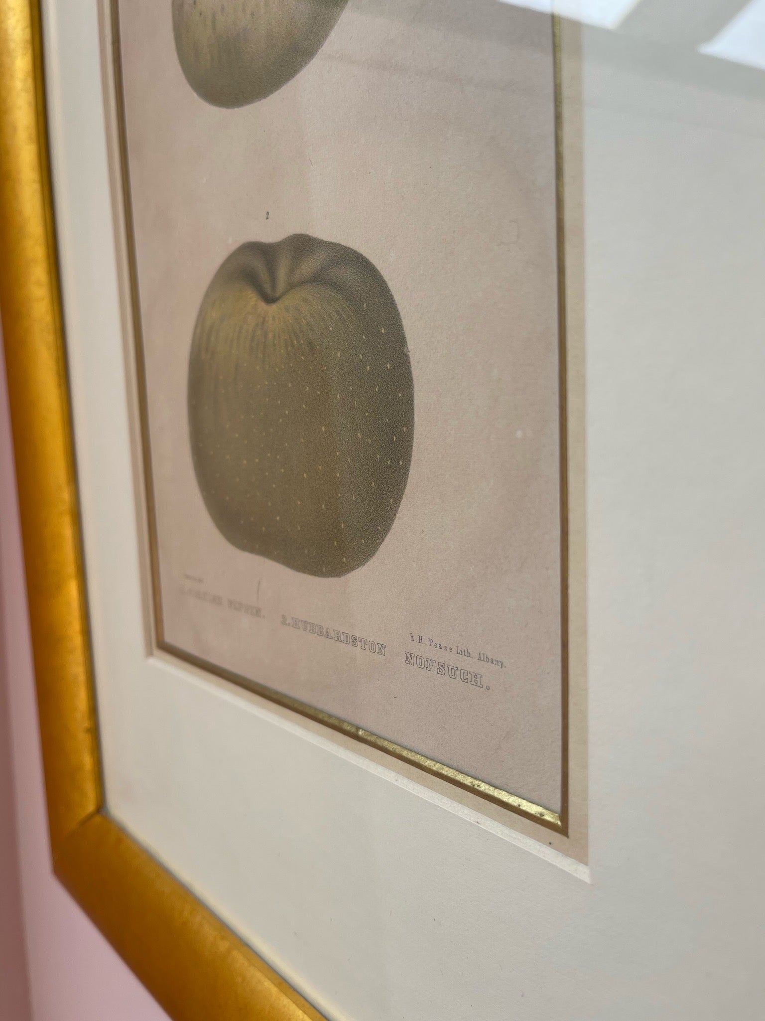 Plate Print Apples in Water Gilded Frame