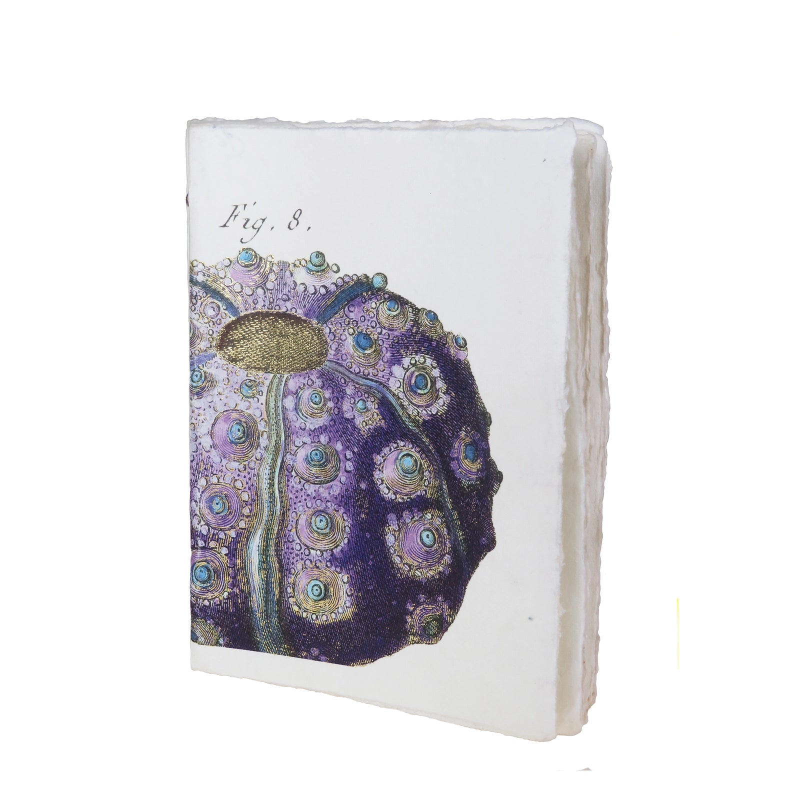 Sea Urchin A5 Parchment Paper Notebook