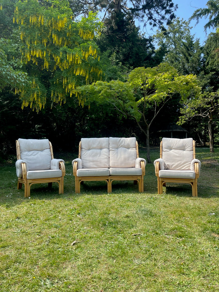 Rattan Sofa Set