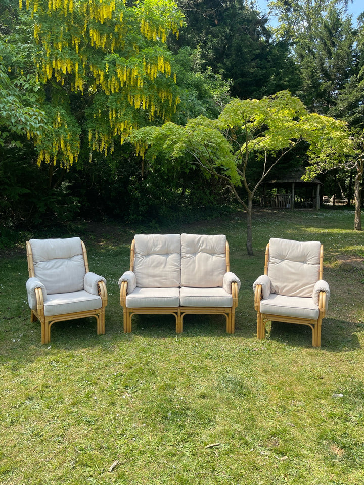 Rattan Sofa Set