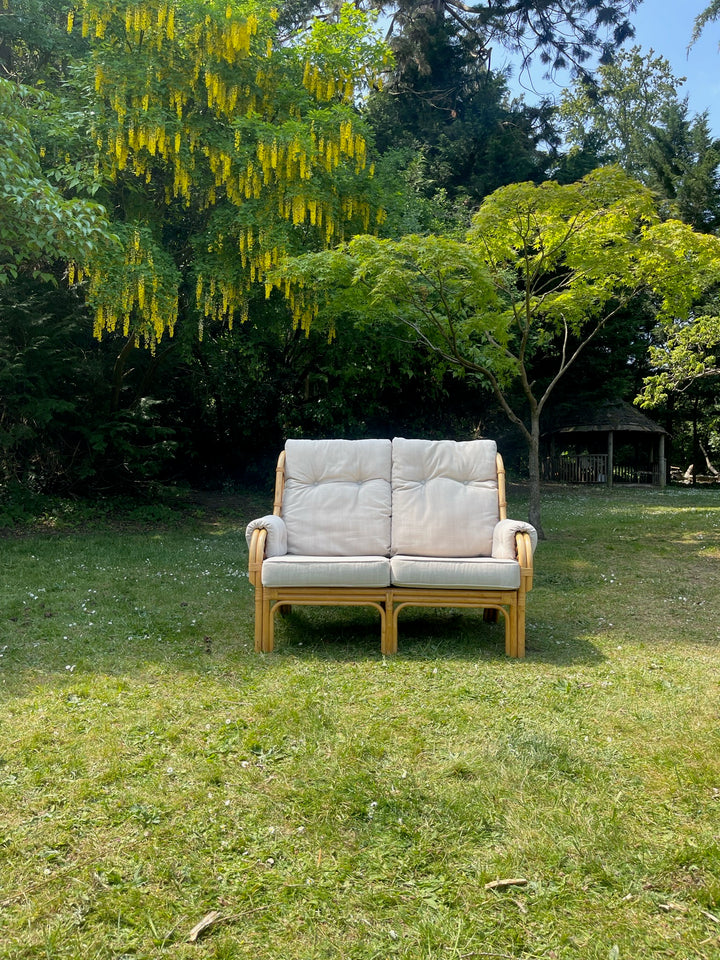 Rattan Sofa Set