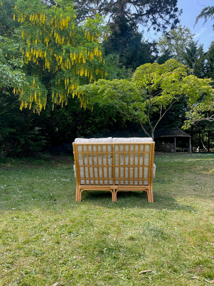 Rattan Sofa Set