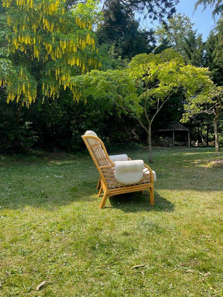 Rattan Sofa Set