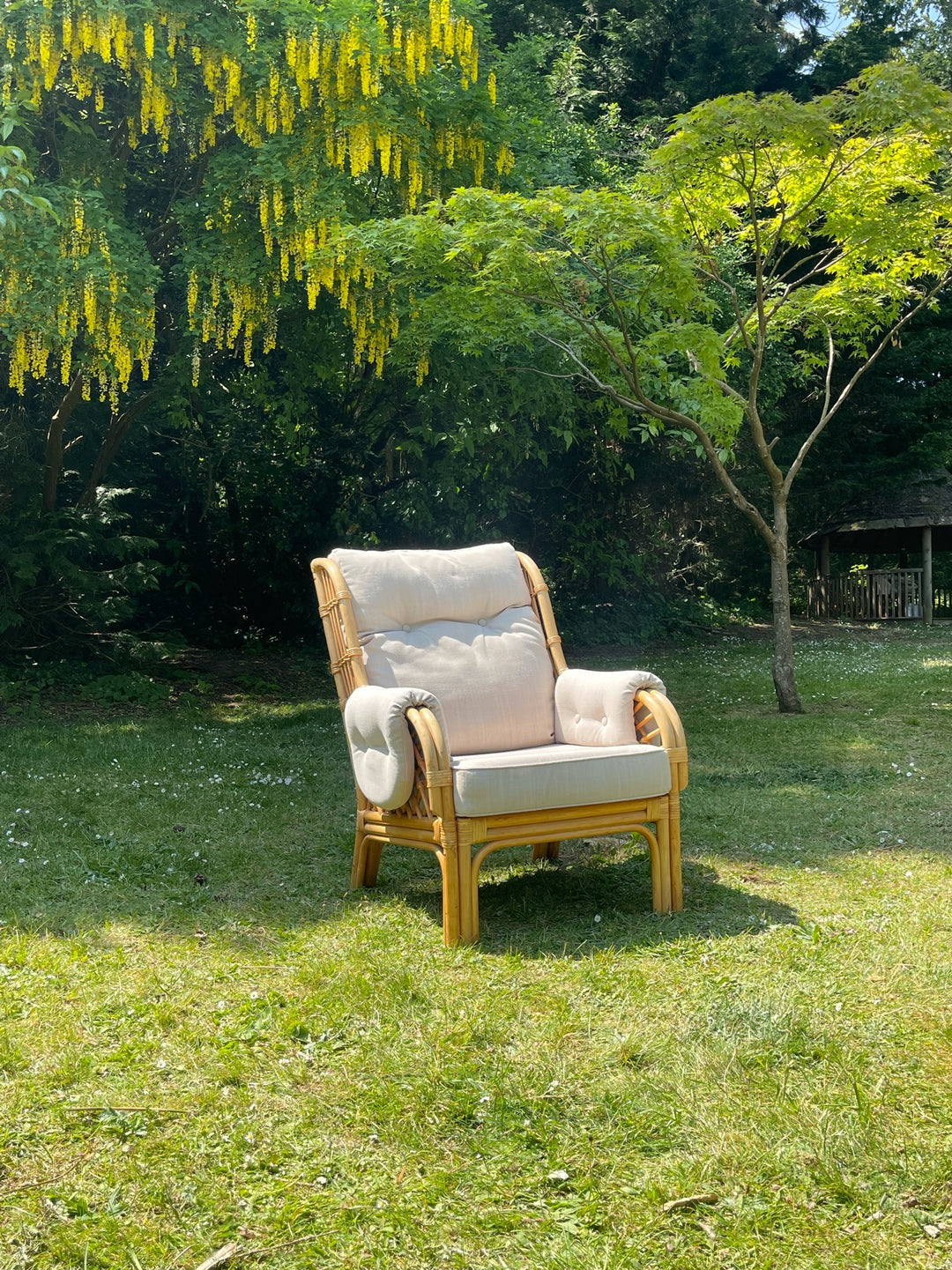 Rattan Sofa Set