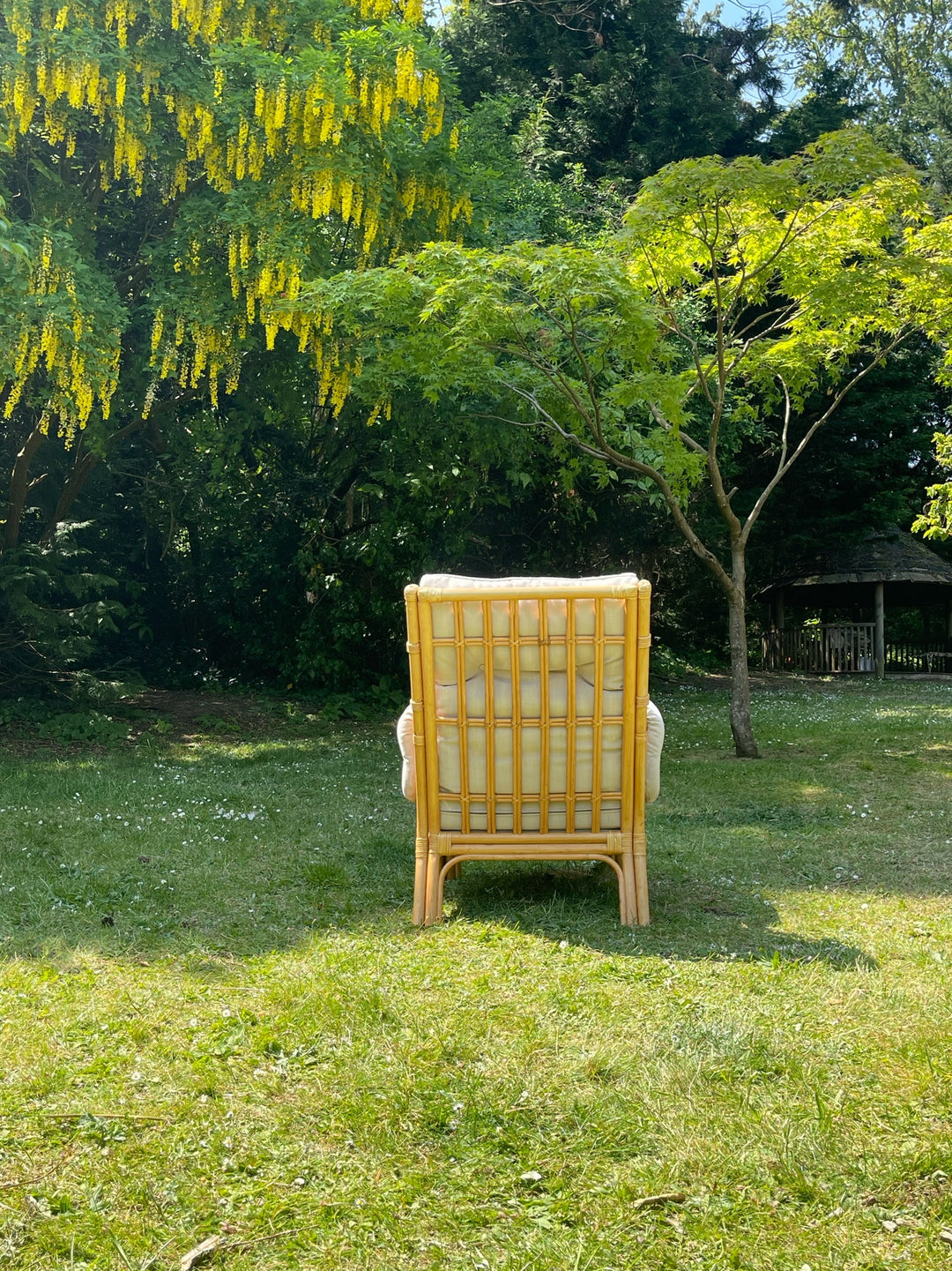Rattan Sofa Set