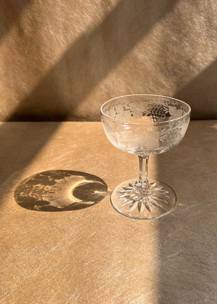 Single Spear Grapevine Champagne Coupe