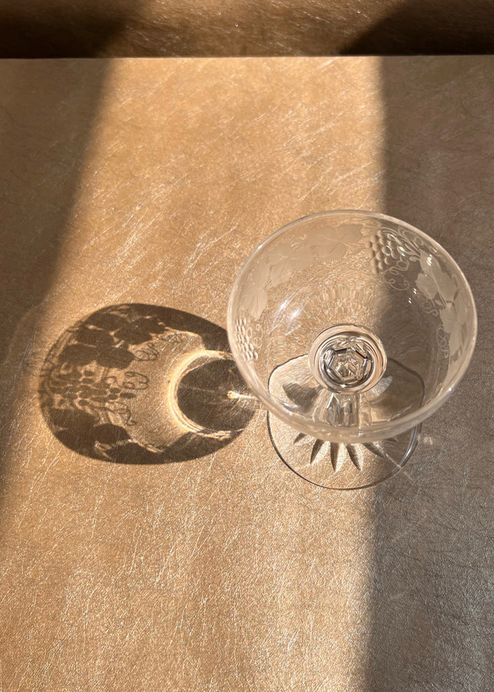 Single Spear Grapevine Champagne Coupe