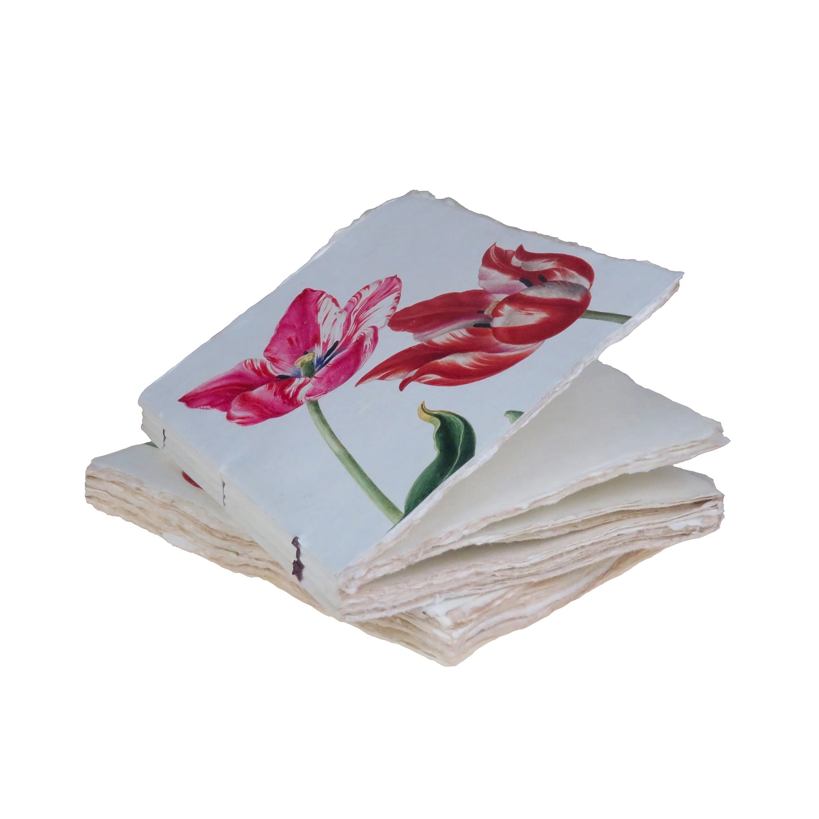 Tulip A5 Parchment Paper Notebook