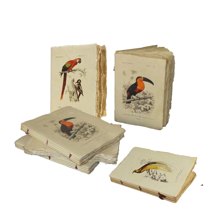 Vintage Birds A5 Parchment Paper Notebook
