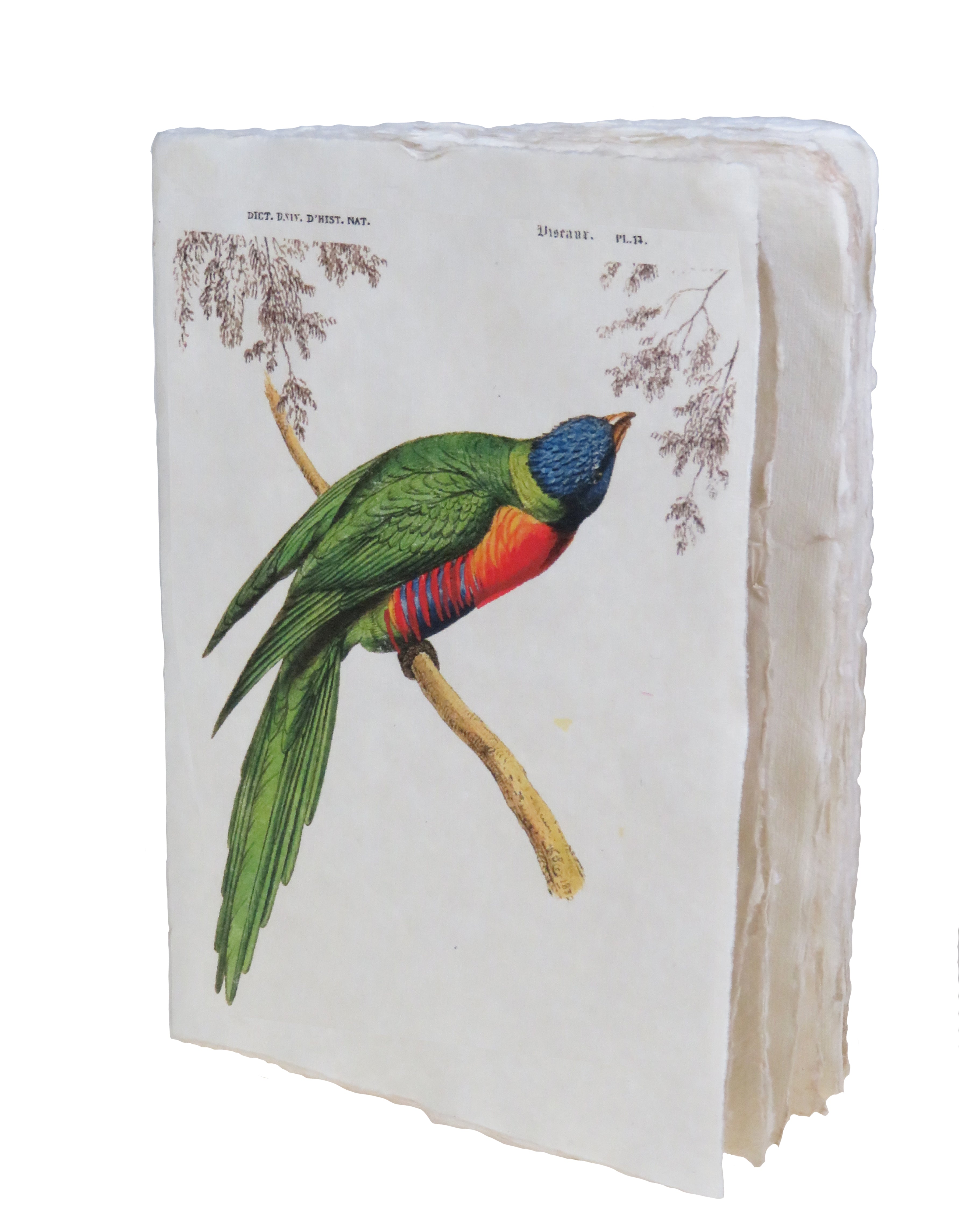 Tropical Bird Parchment Paper A6 Notebook