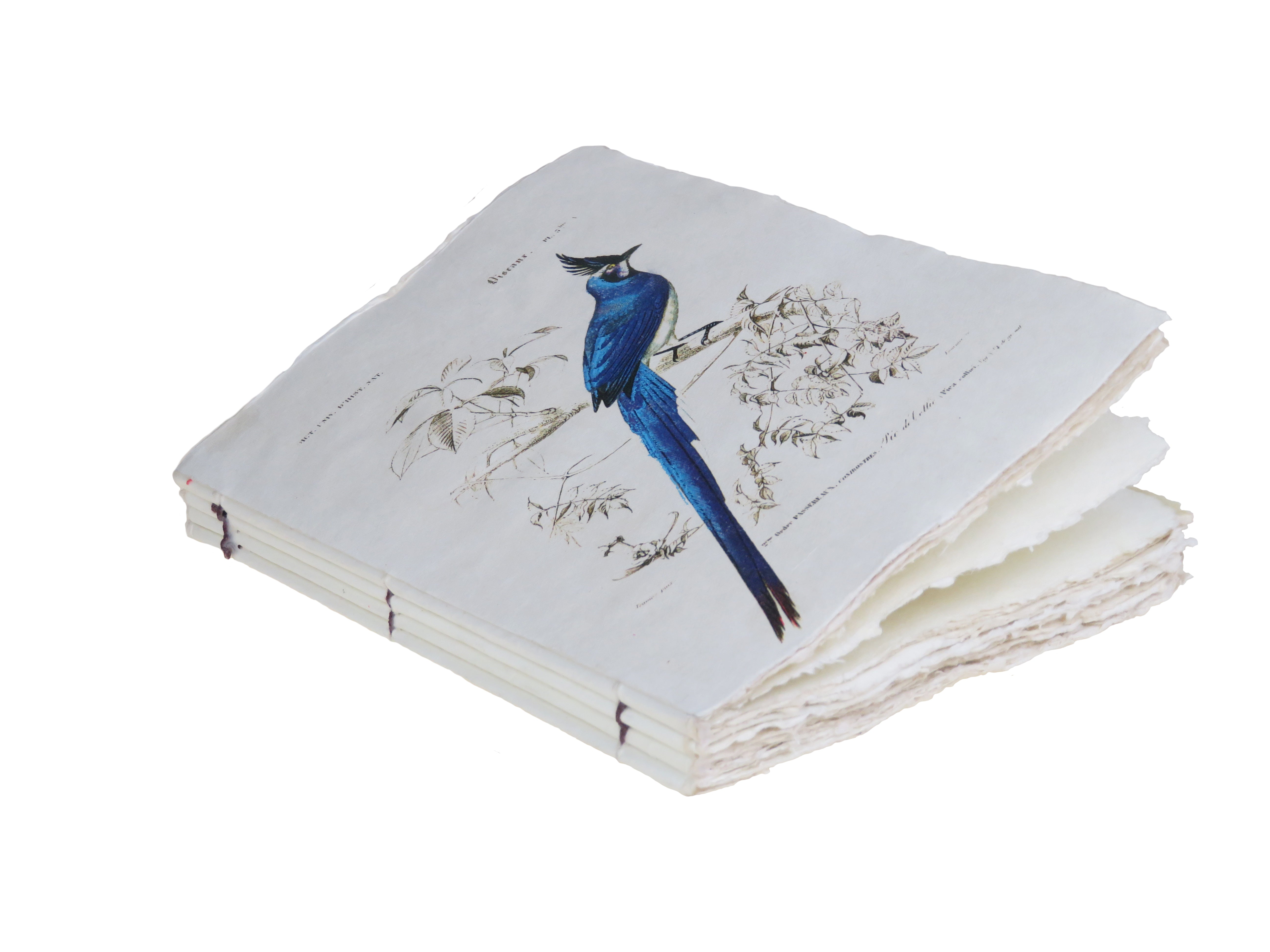 Tropical Bird Parchment Paper A6 Notebook