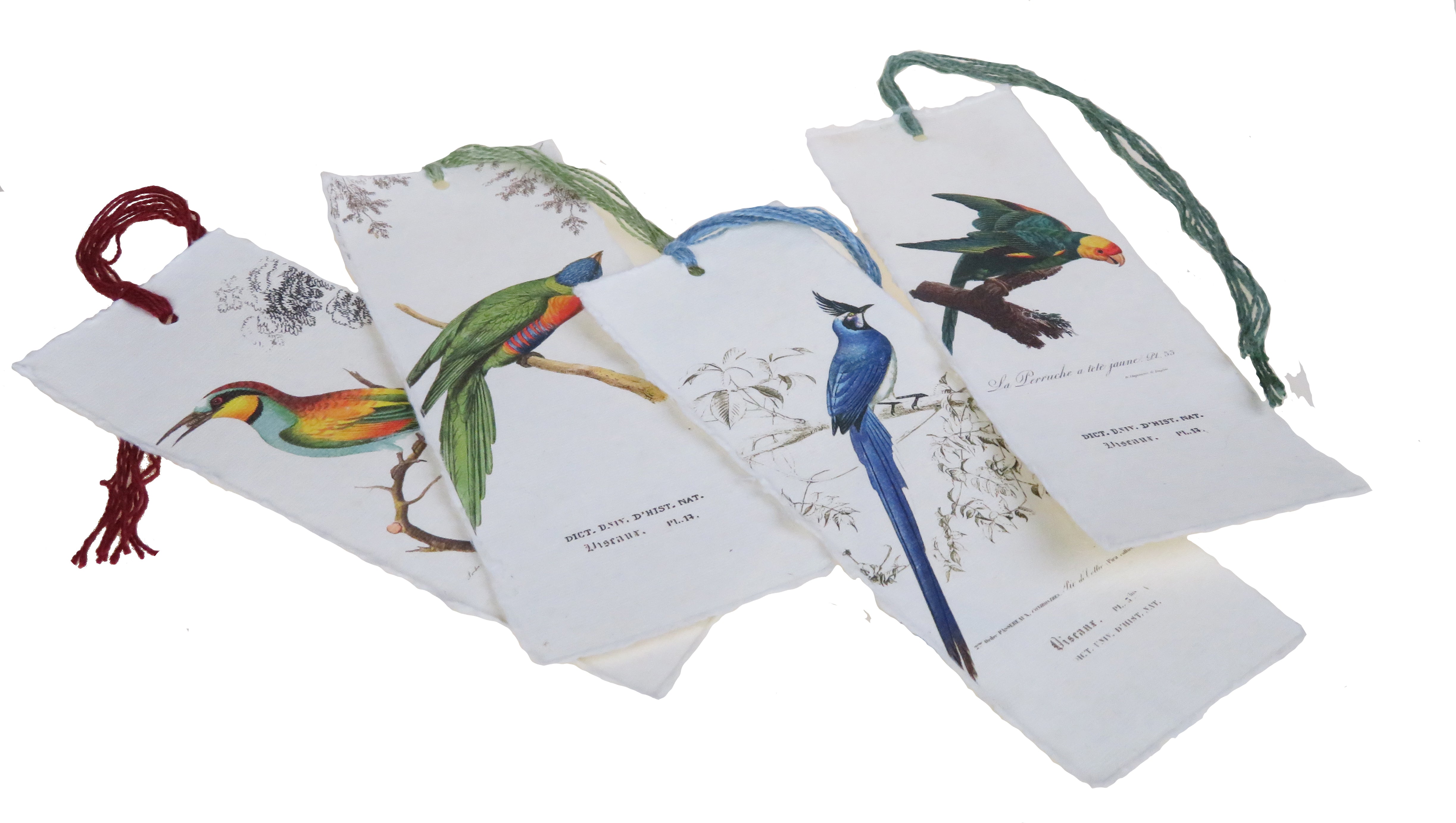 Tropical Bird Parchment Paper Bookmark