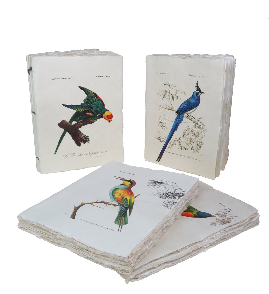 Tropical Bird Parchment Paper A6 Notebook