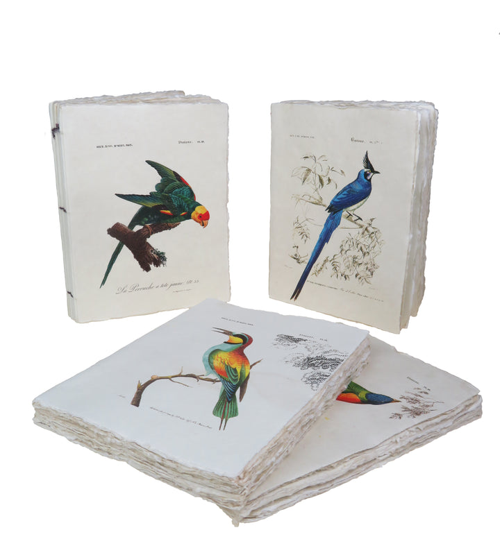 Tropical Bird Parchment Paper A6 Notebook