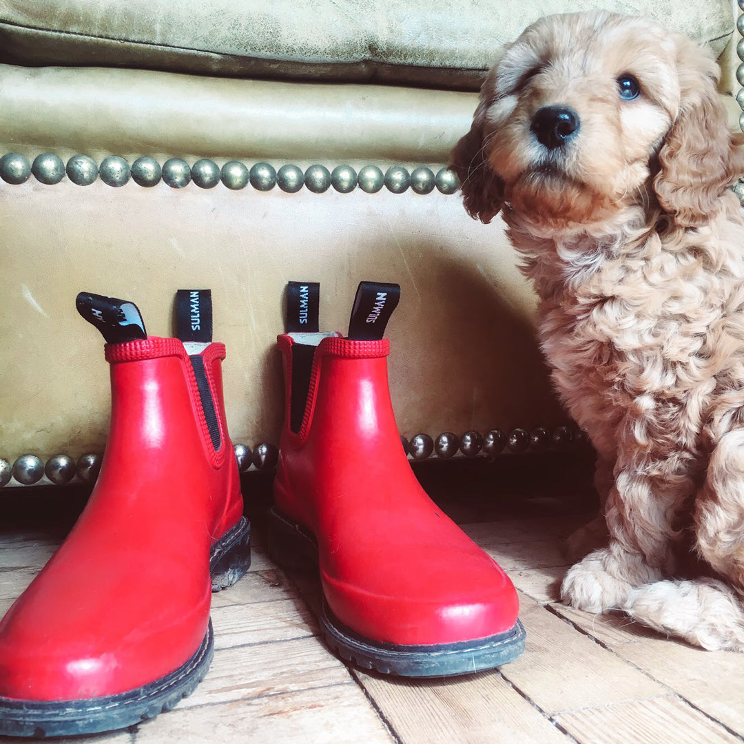 Sulman Agnes Short Wellington Boots - 5 Colours