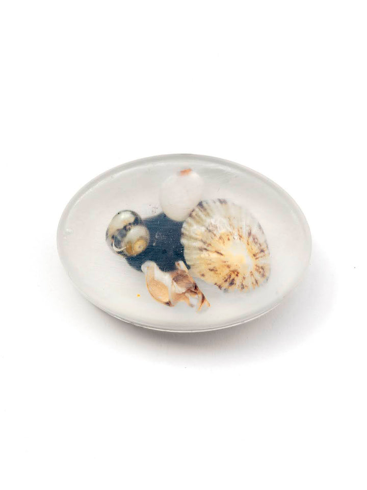 Chuckle Soaps Shells