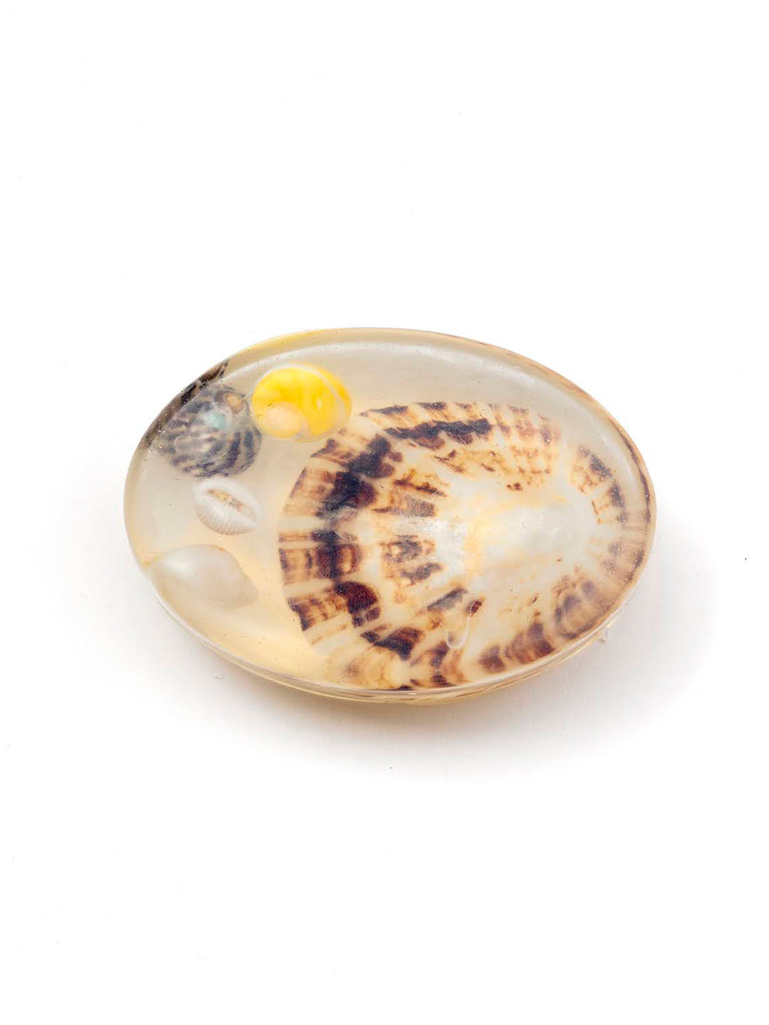 Chuckle Soaps Shells