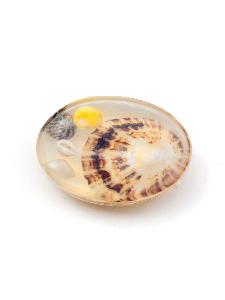 Chuckle Soaps Shells
