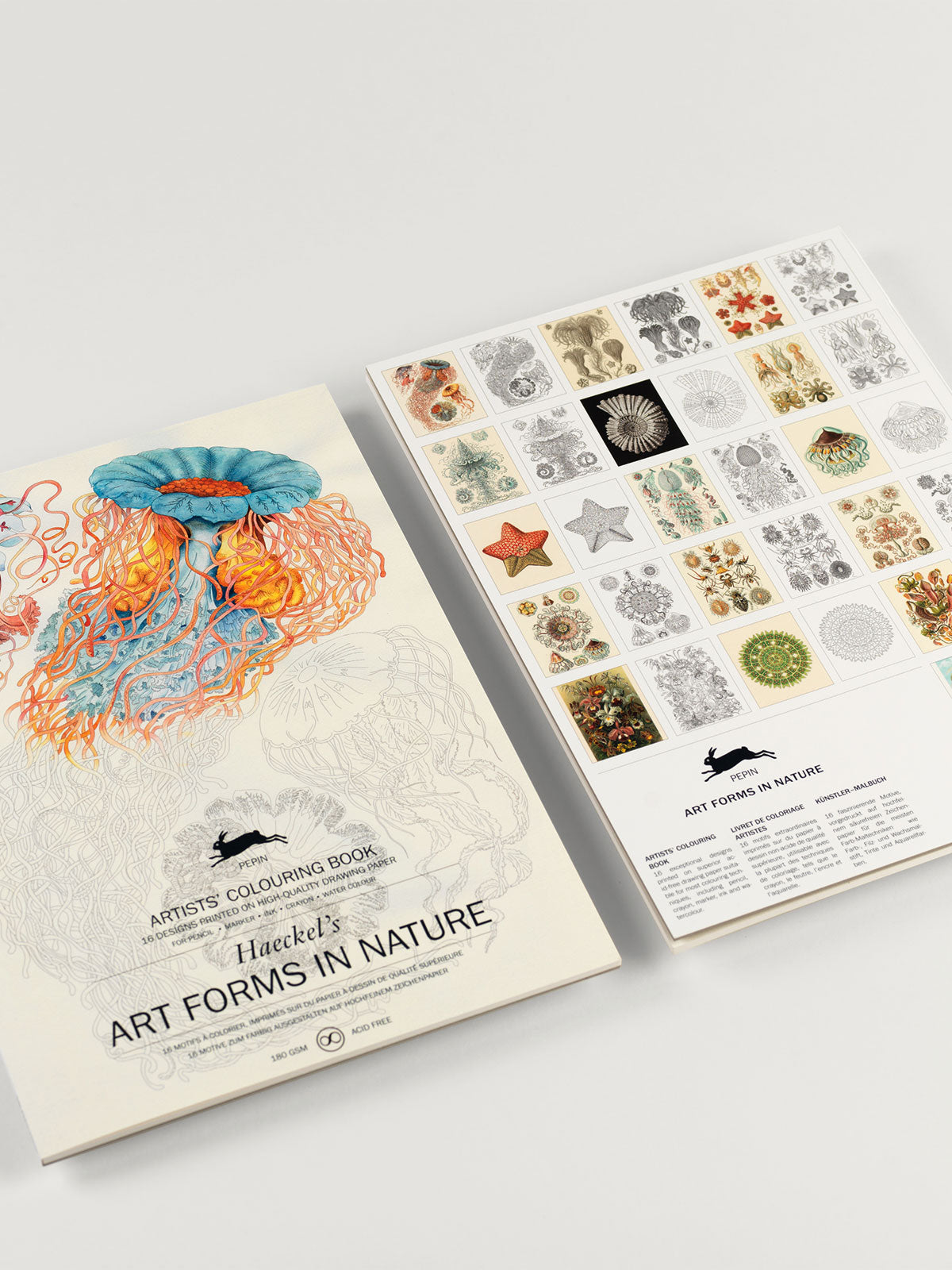 Art Forms in Nature Artist's Colouring Book