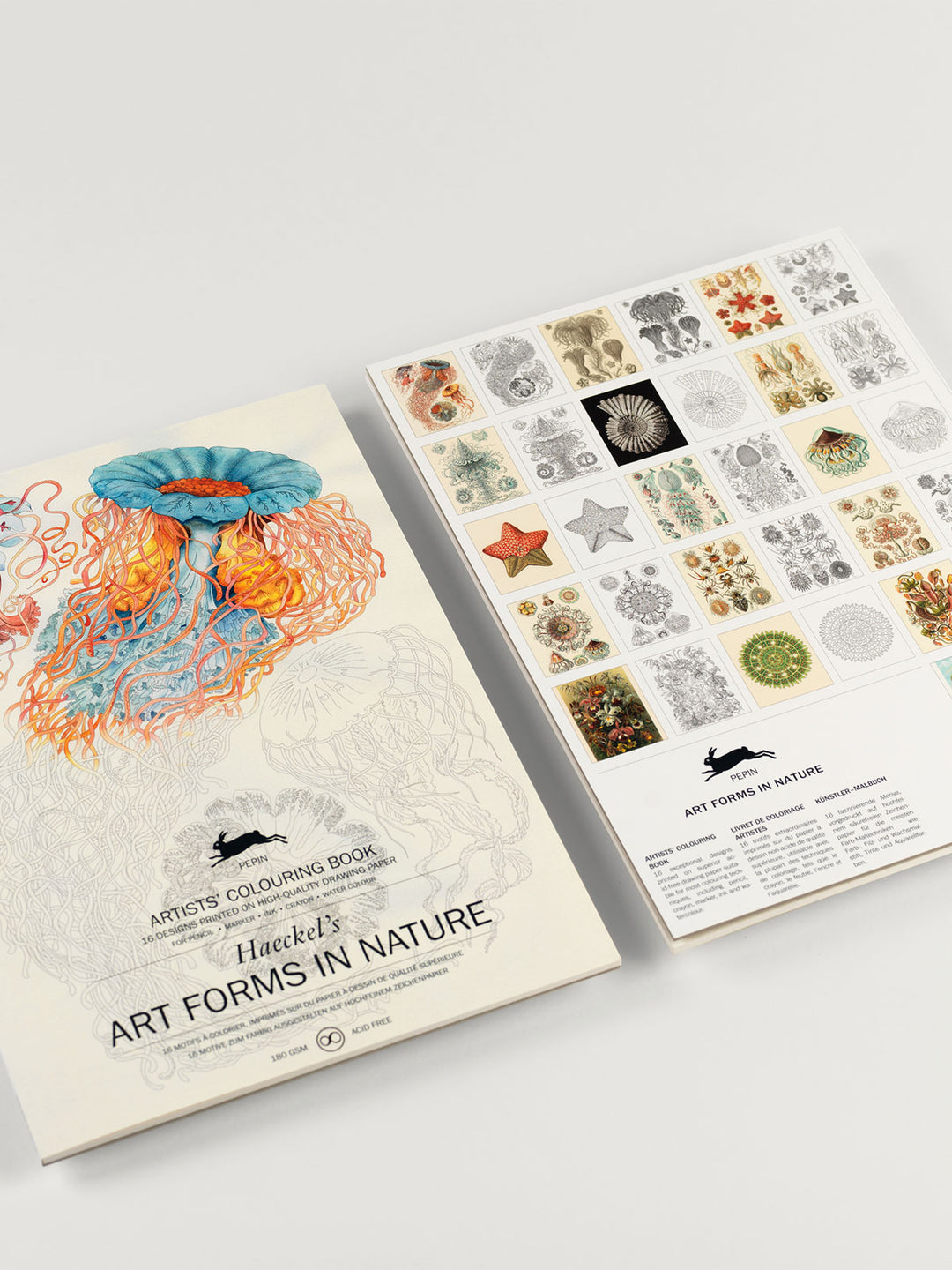 Art Forms in Nature Artist's Colouring Book