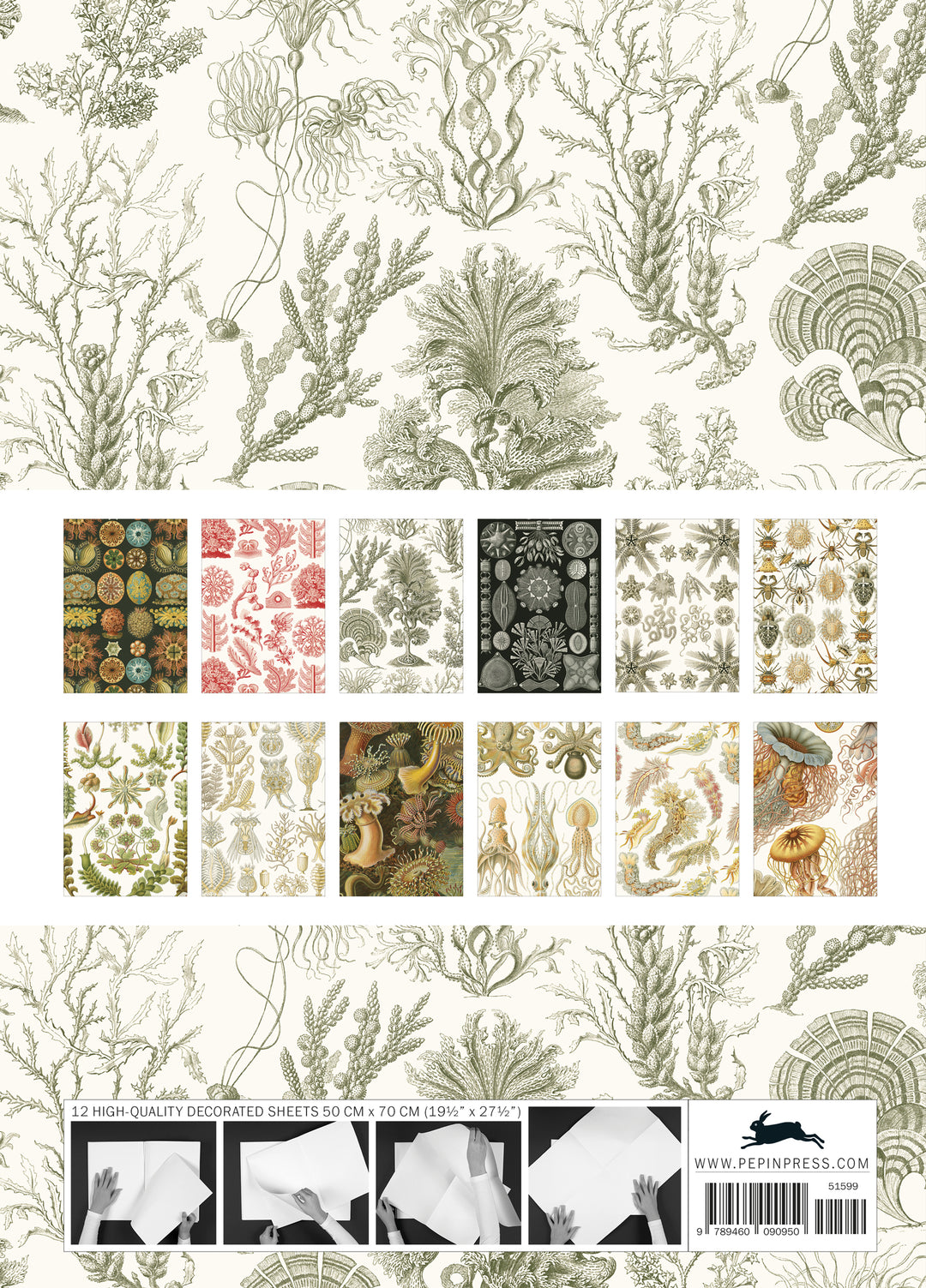 Art Forms in Nature Gift &amp; Creative Paper