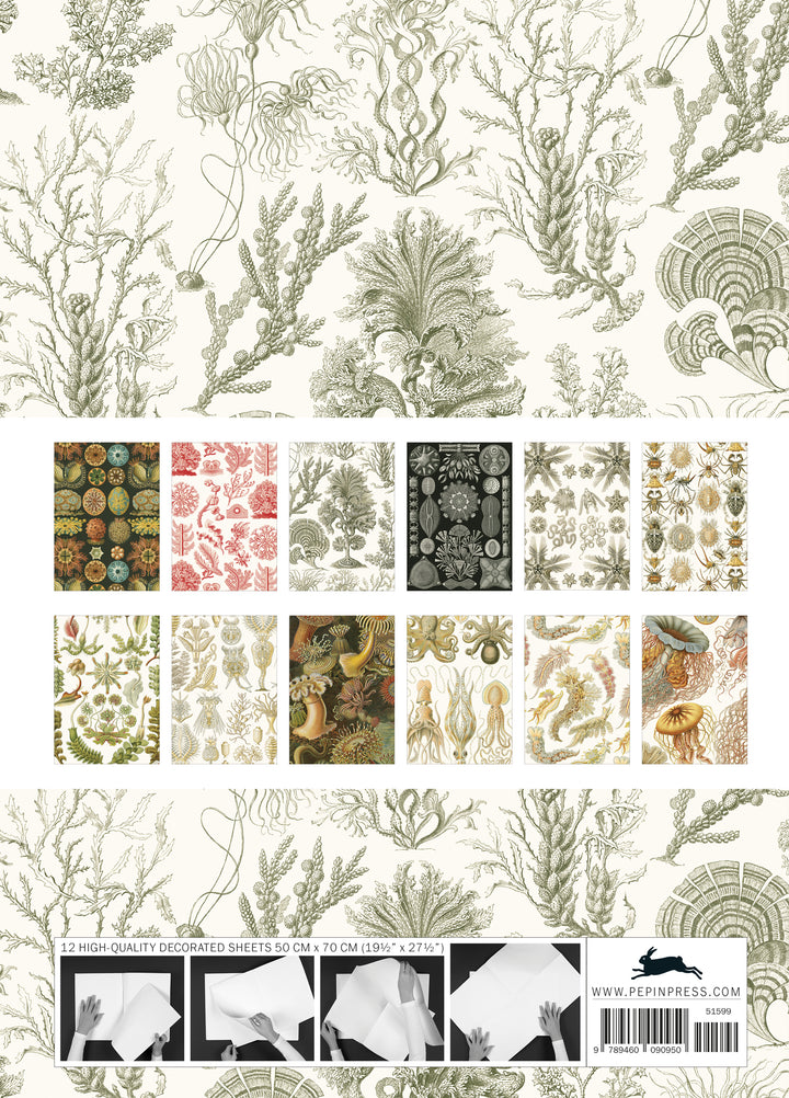Art Forms in Nature Gift &amp; Creative Paper