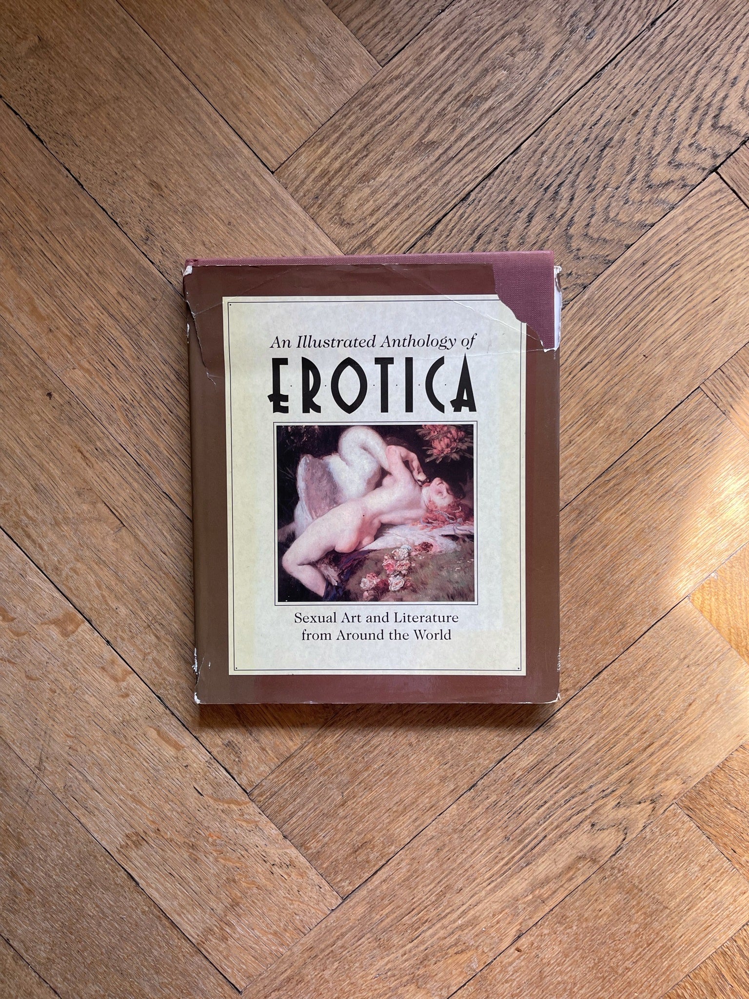 An Illustrated Anthology of Erotica