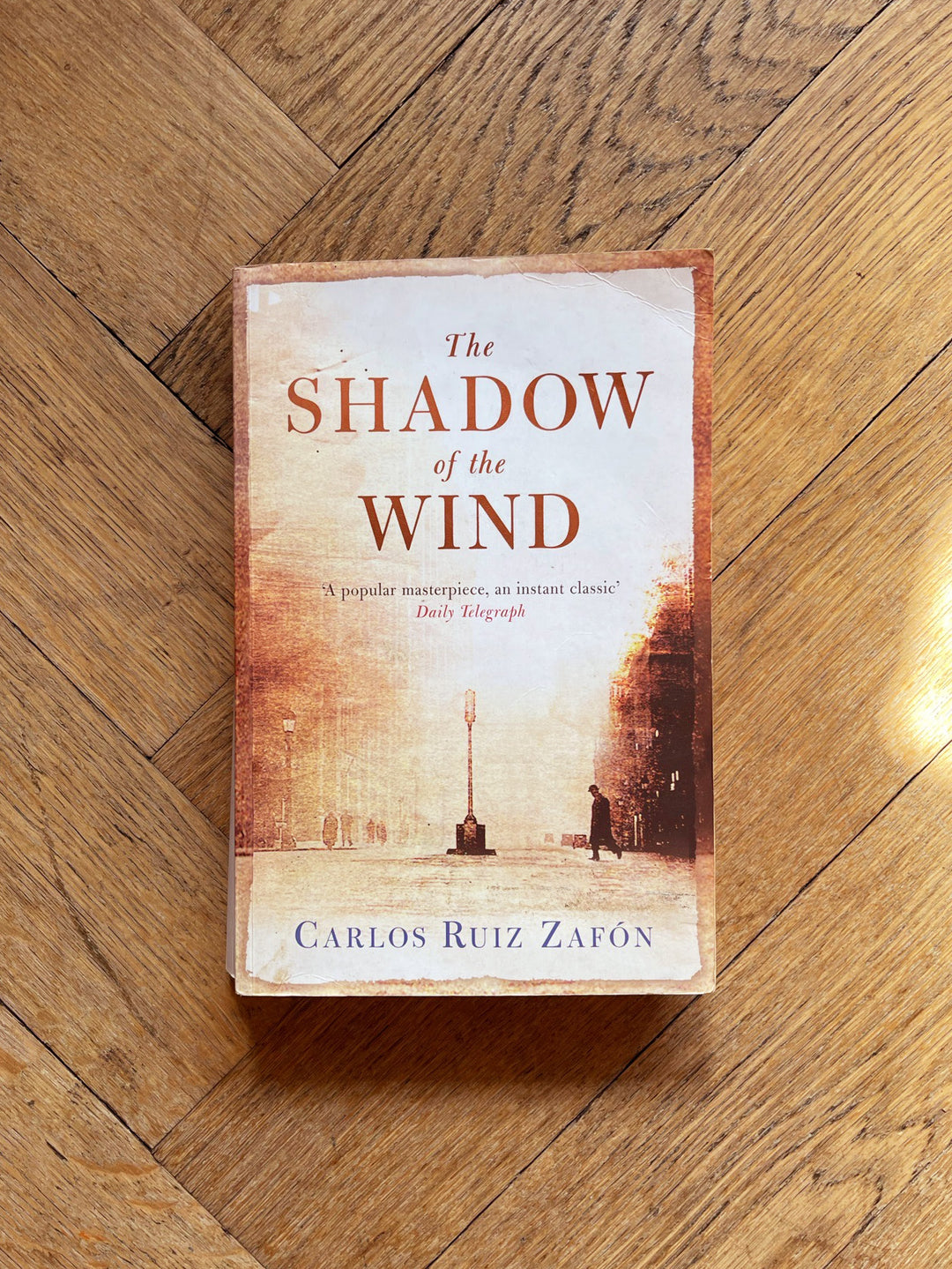 The Shadow of the Wind by Carlos Ruiz Zafon