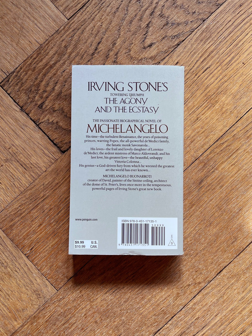 The Agony and The Ecstasy by Irving Stone