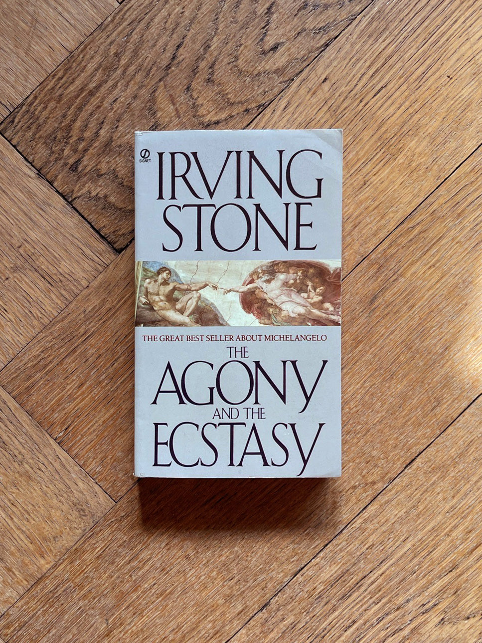 The Agony and The Ecstasy by Irving Stone