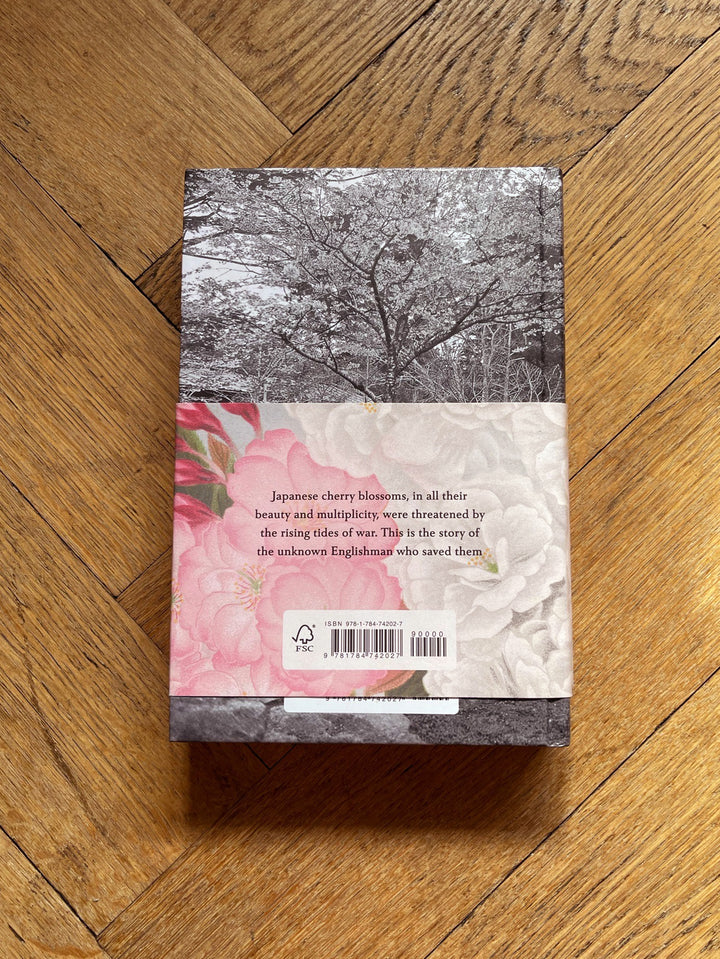 Cherry Ingram by Naoko Abe