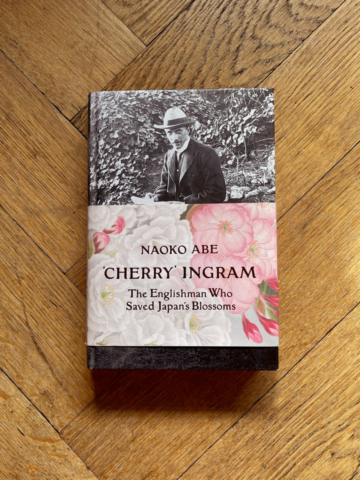 Cherry Ingram by Naoko Abe
