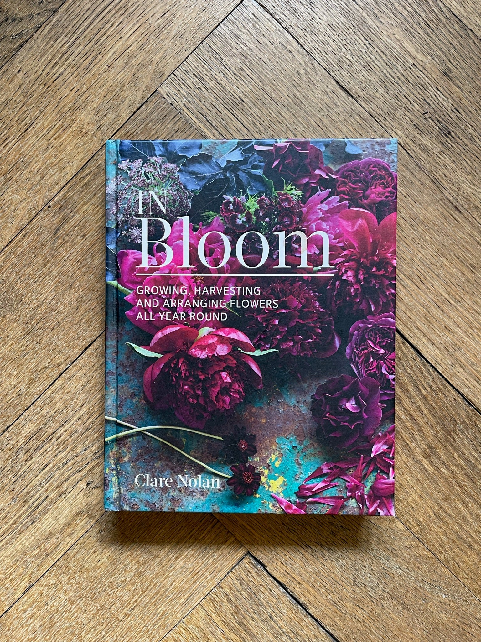 In Bloom - Clare Nolan