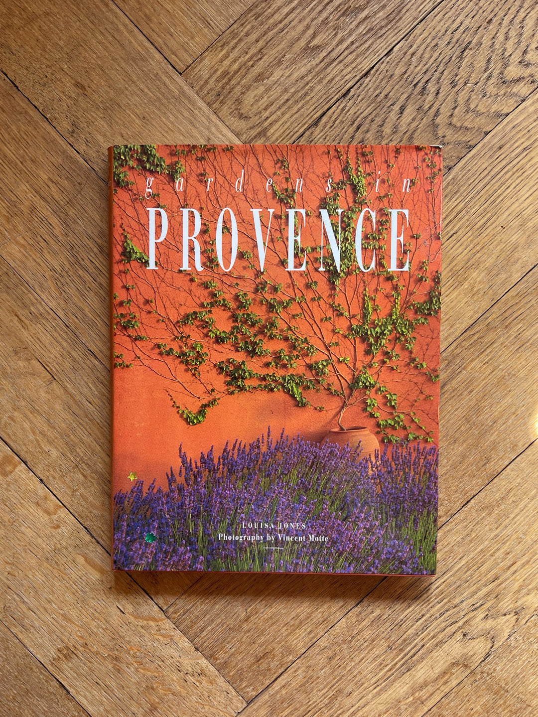 Gardens in Provence by Louisa Jones