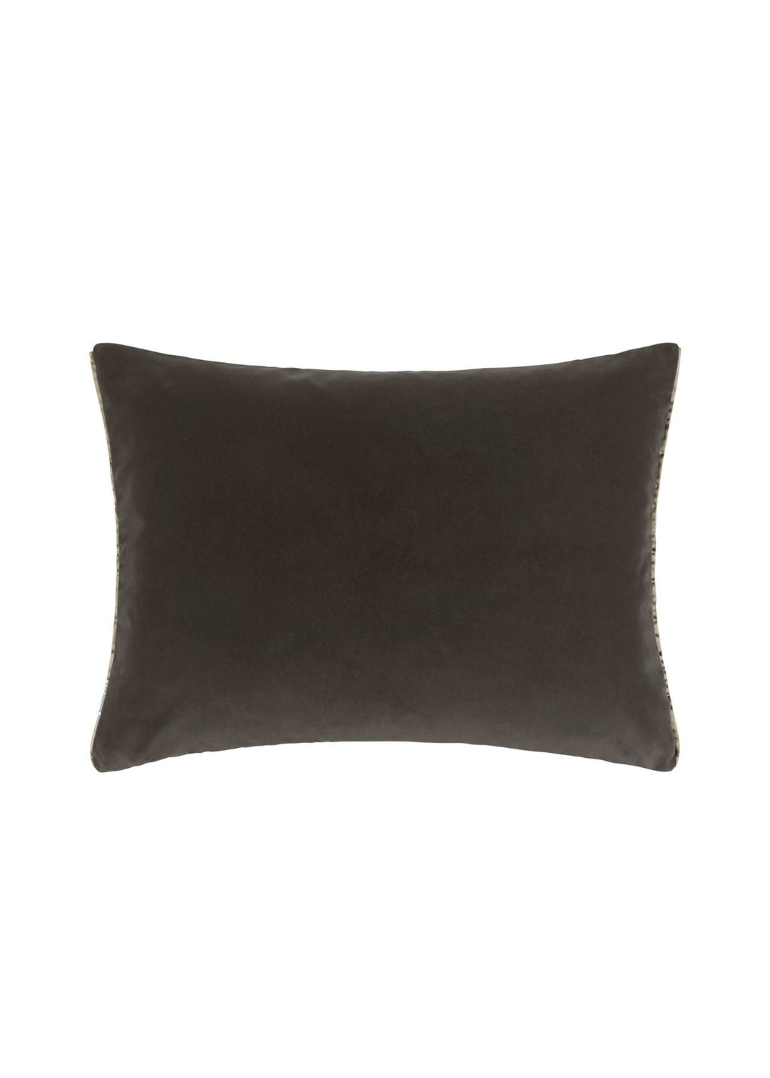 Cassia Alchemilla Velvet Cushion