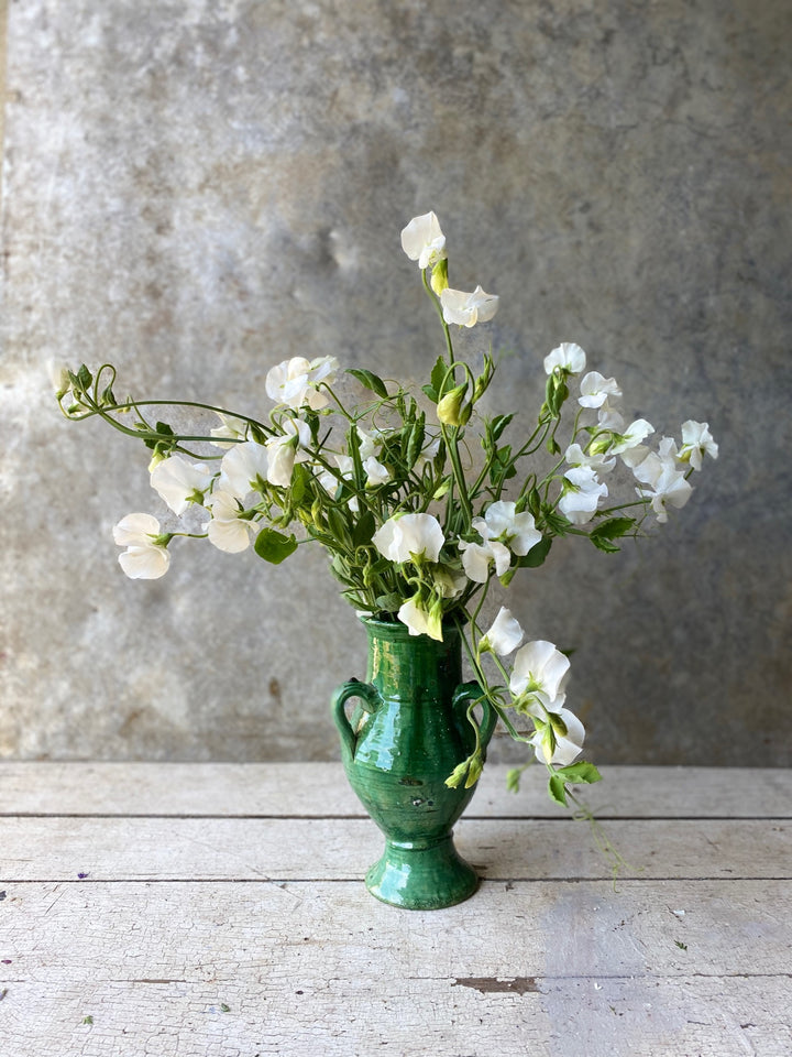 Tamegroute Vase with Three Handles