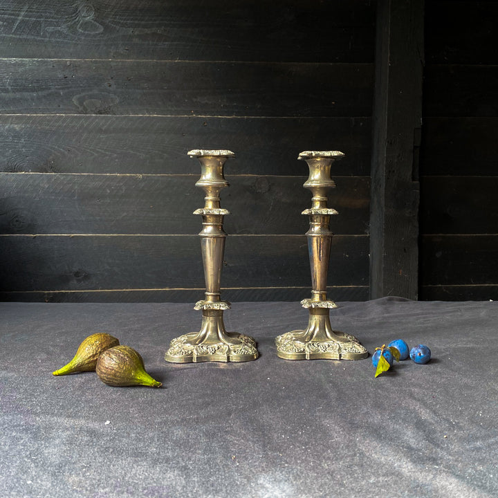Pair of Silver Fruit and Vine Candlesticks