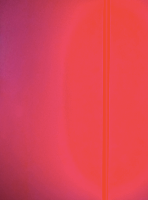 Red Fluorescent Tube Floor Light 105cm